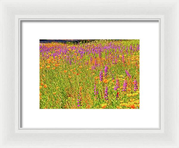 Flower Galore Purple and Yellow - Framed Print