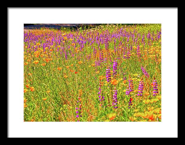 Flower Galore Purple and Yellow - Framed Print