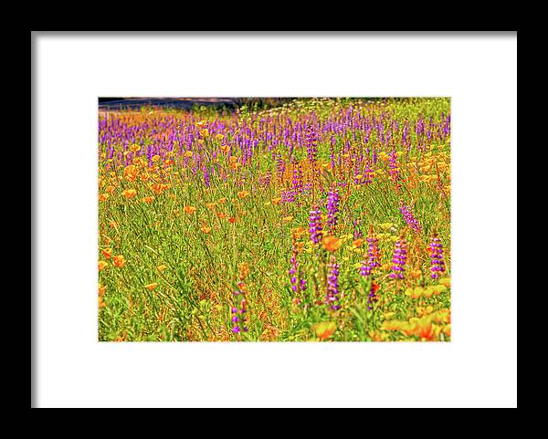 Flower Galore Purple and Yellow - Framed Print