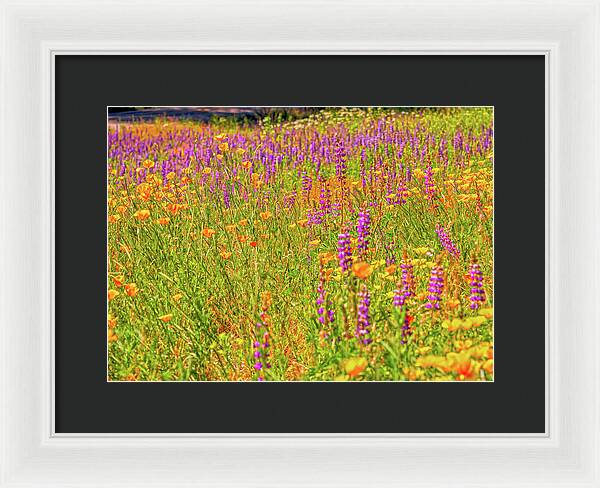 Flower Galore Purple and Yellow - Framed Print