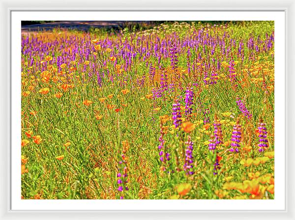 Flower Galore Purple and Yellow - Framed Print