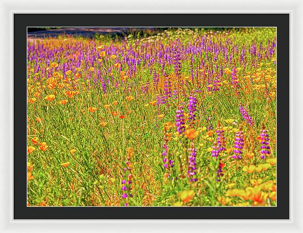 Flower Galore Purple and Yellow - Framed Print