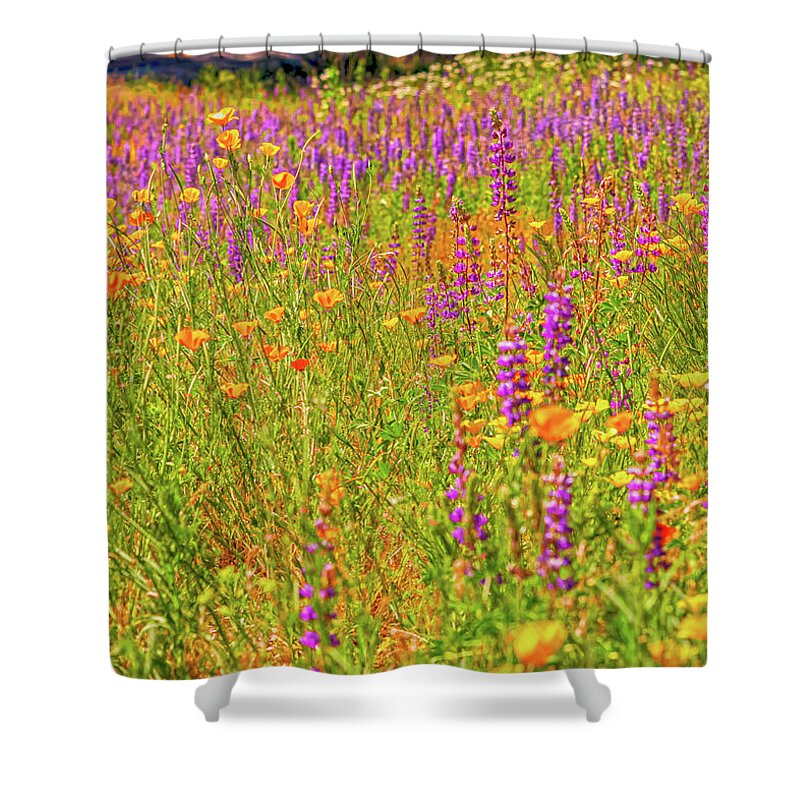 Flower Galore Purple and Yellow - Shower Curtain