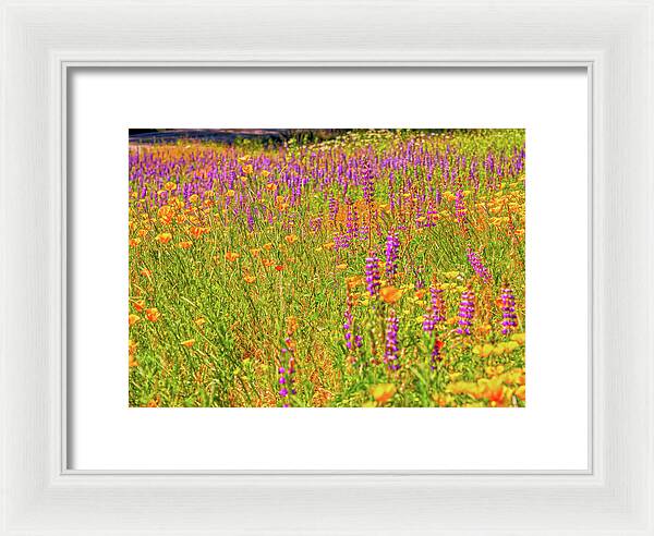 Flower Galore Purple and Yellow - Framed Print