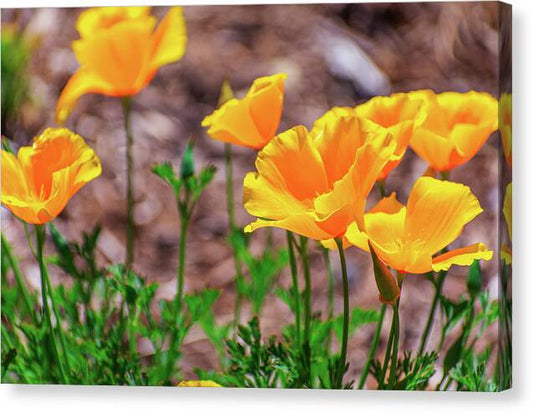Flowers in Motion - Canvas Print