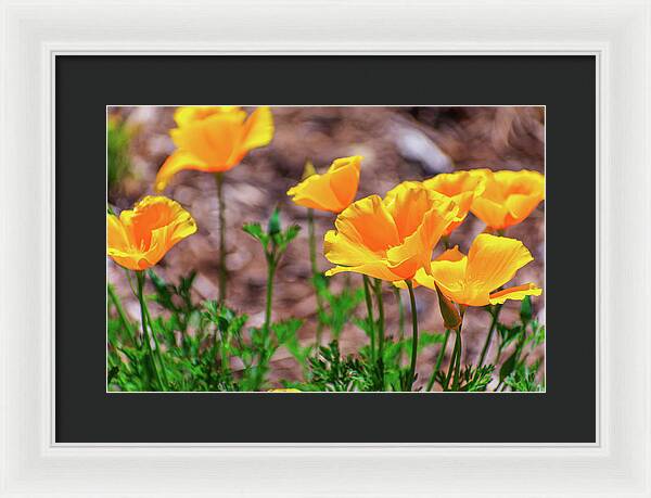 Flowers in Motion - Framed Print