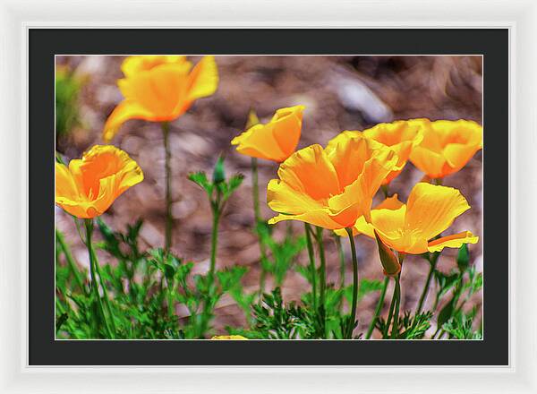 Flowers in Motion - Framed Print