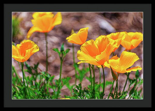 Flowers in Motion - Framed Print