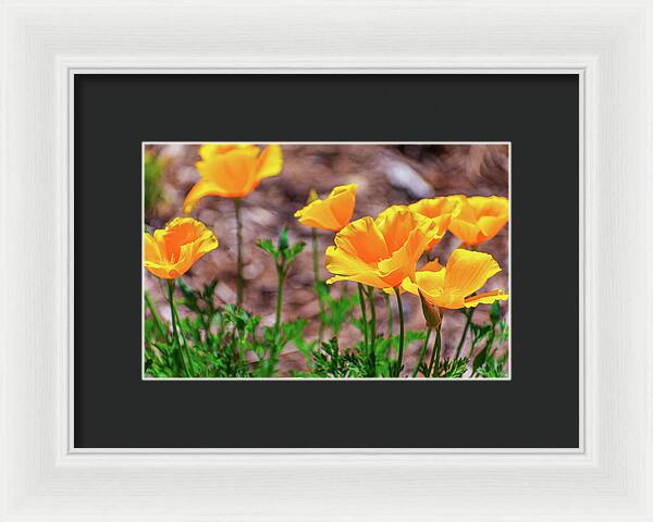 Flowers in Motion - Framed Print