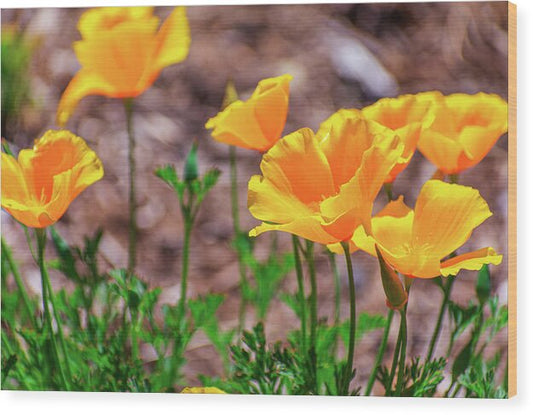Flowers in Motion - Wood Print