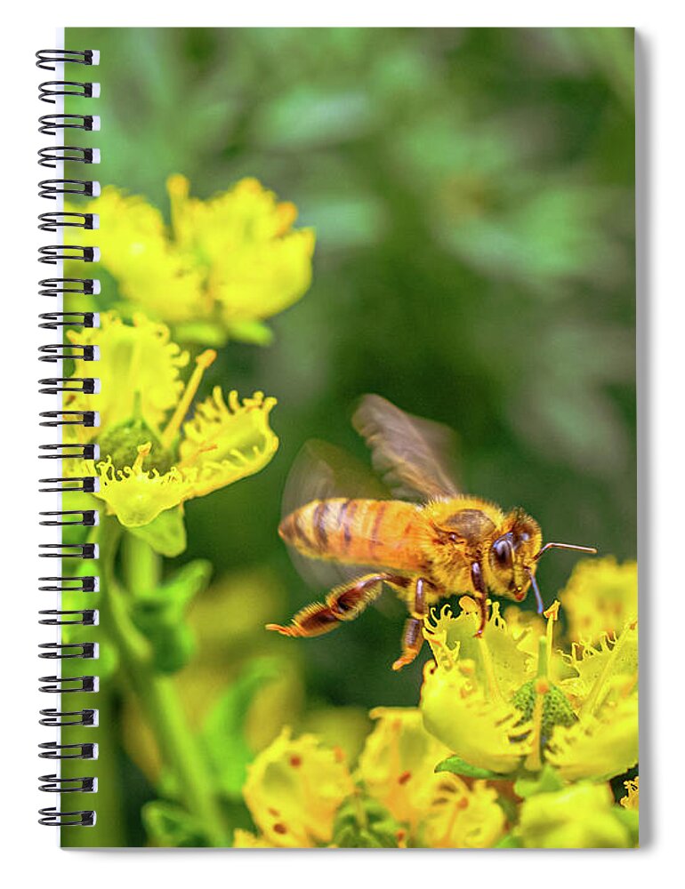 Fly High During Spring Bee Life - Spiral Notebook