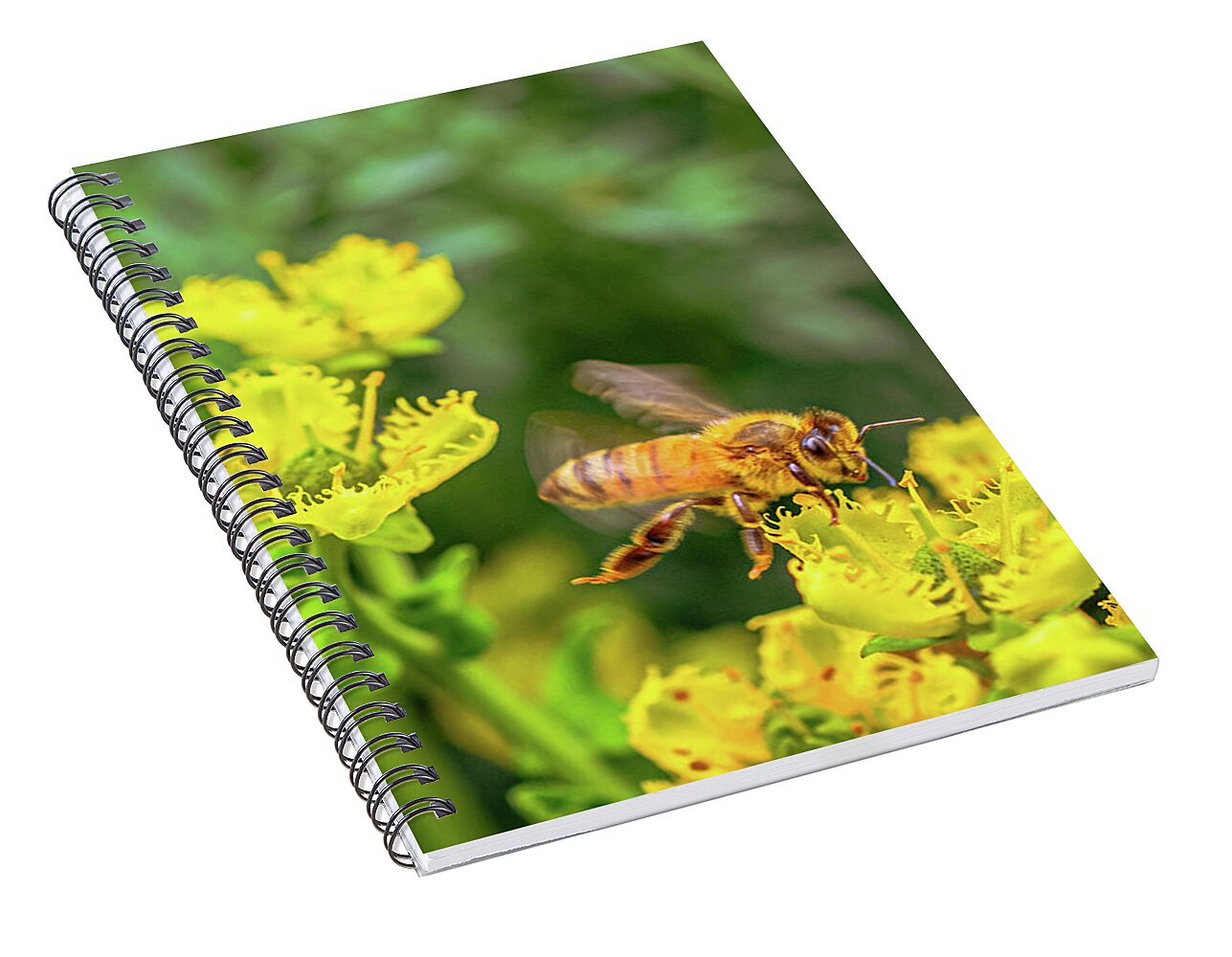 Fly High During Spring Bee Life - Spiral Notebook