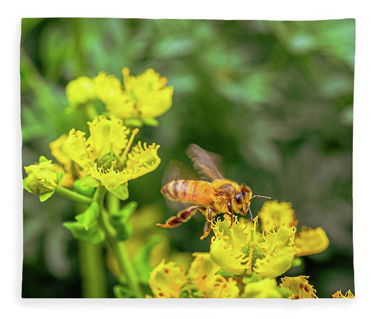 Fly High During Spring Bee Life - Blanket