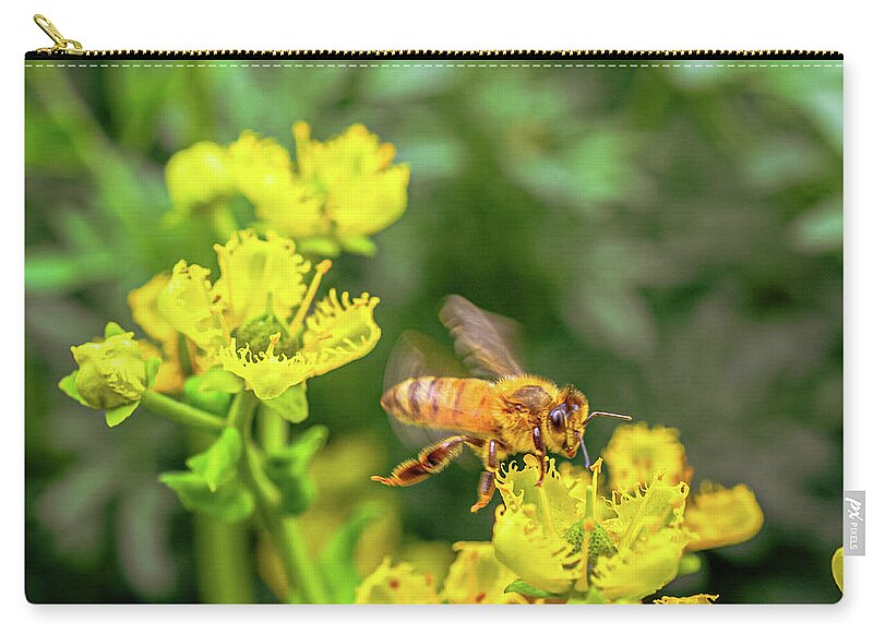 Fly High During Spring Bee Life - Zip Pouch