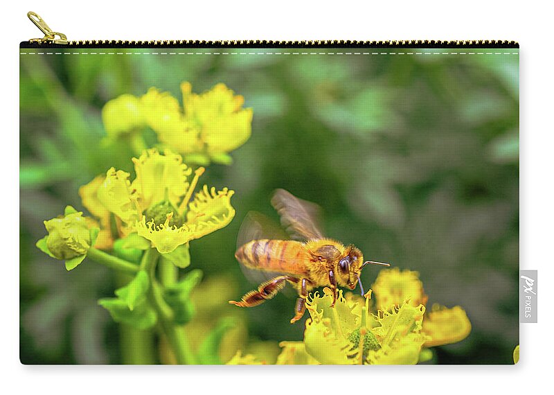 Fly High During Spring Bee Life - Zip Pouch