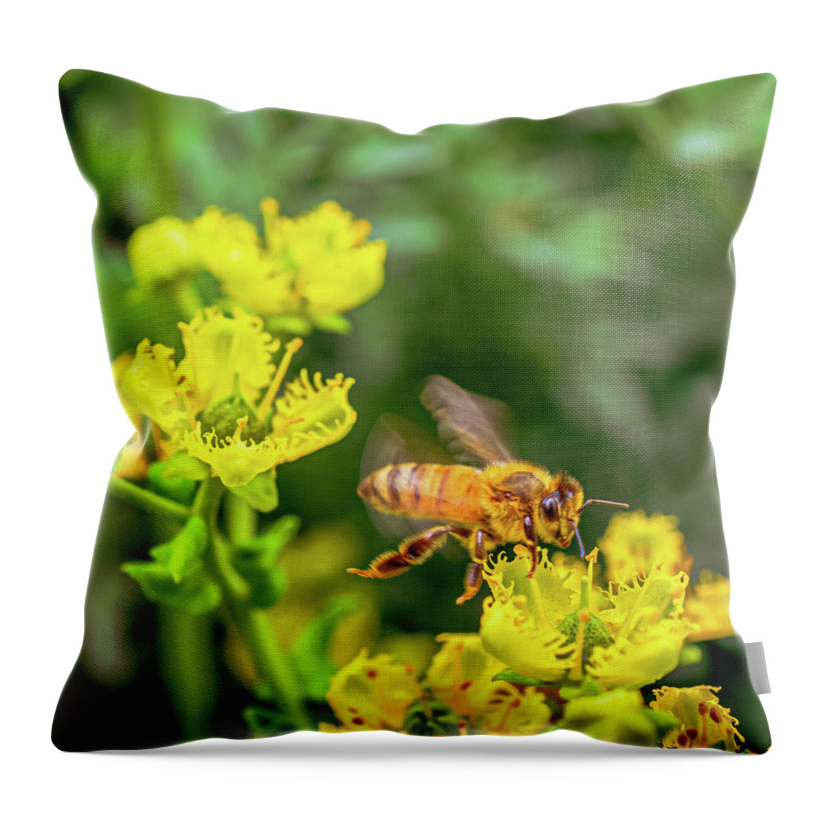 Fly High During Spring Bee Life - Throw Pillow