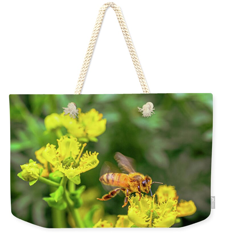 Fly High During Spring Bee Life - Weekender Tote Bag