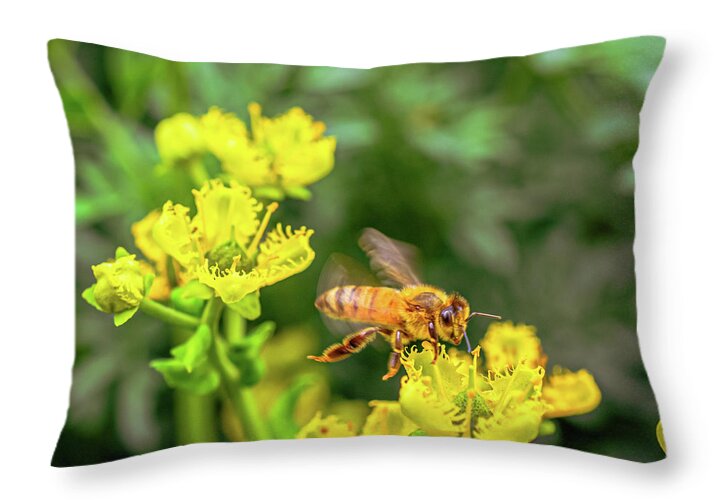 Fly High During Spring Bee Life - Throw Pillow