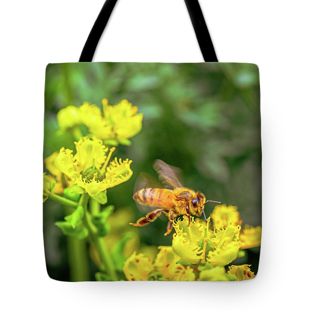 Fly High During Spring Bee Life - Tote Bag