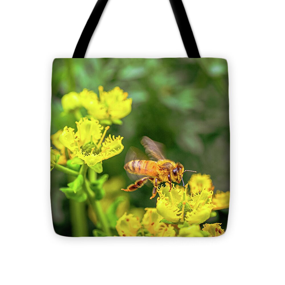 Fly High During Spring Bee Life - Tote Bag