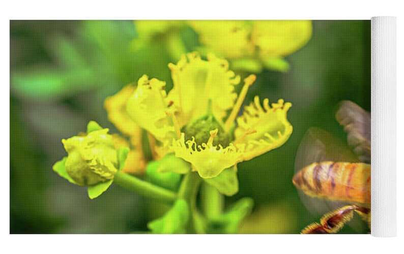 Fly High During Spring Bee Life - Yoga Mat