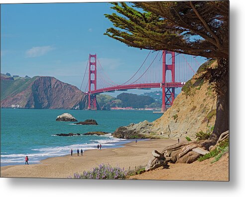 Golden Gate Landscape  - Metal Print
