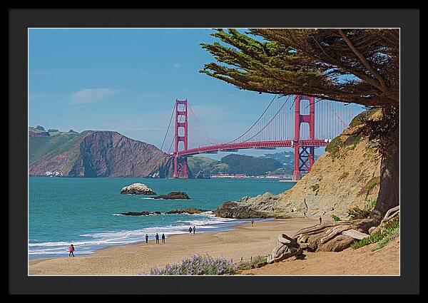Golden Gate Landscape  - Framed Print