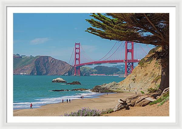 Golden Gate Landscape  - Framed Print