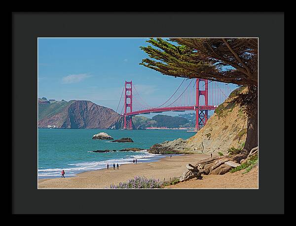 Golden Gate Landscape  - Framed Print
