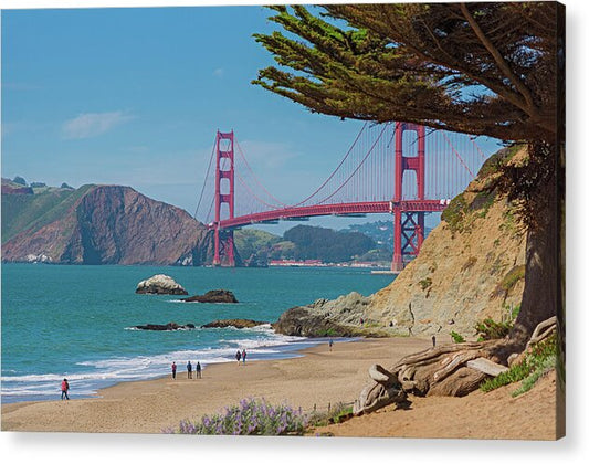 Golden Gate Landscape  - Acrylic Print