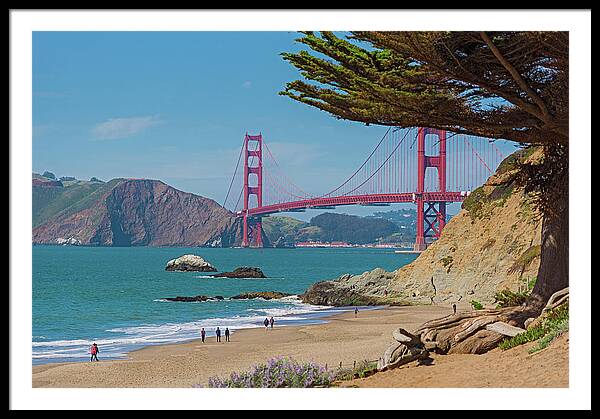 Golden Gate Landscape  - Framed Print