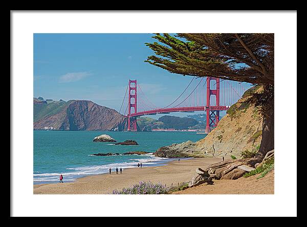 Golden Gate Landscape  - Framed Print
