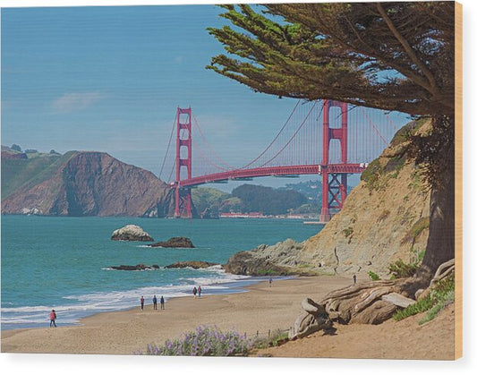 Golden Gate Landscape  - Wood Print