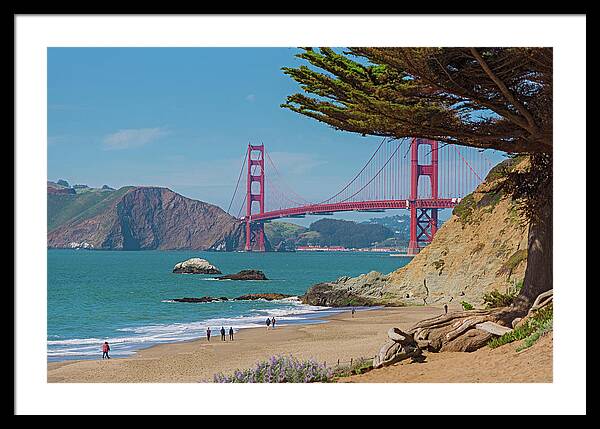 Golden Gate Landscape  - Framed Print