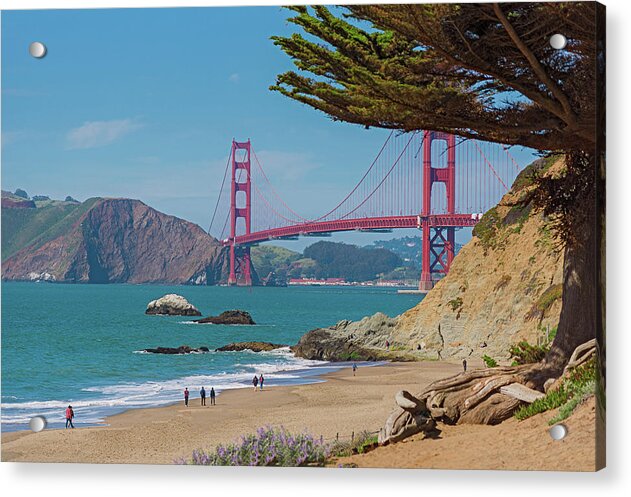 Golden Gate Landscape  - Acrylic Print