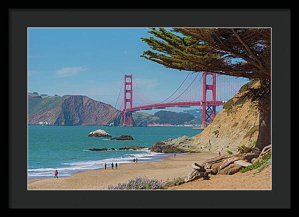 Golden Gate Landscape  - Framed Print