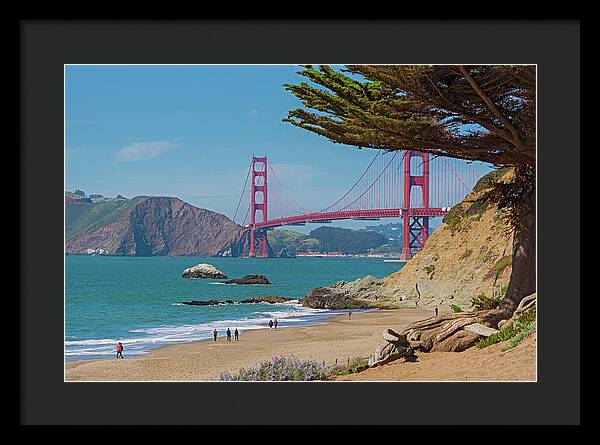 Golden Gate Landscape  - Framed Print