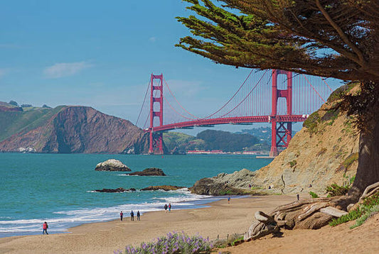 Golden Gate Landscape  - Art Print
