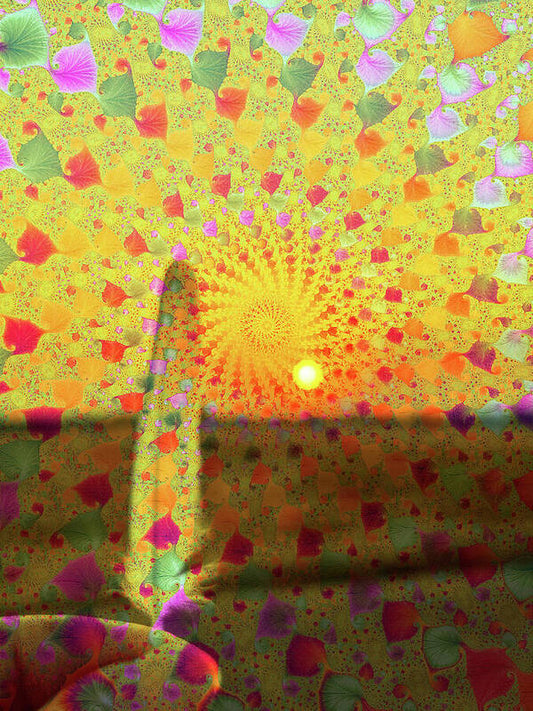Golden Sunset and Feather with Fractals - Art Print