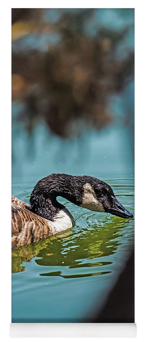 Goose Swimming in Tranquil Lake - Yoga Mat