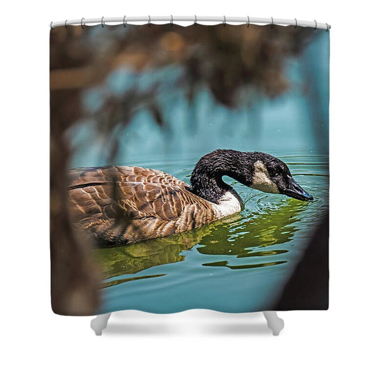 Goose Swimming in Tranquil Lake - Shower Curtain