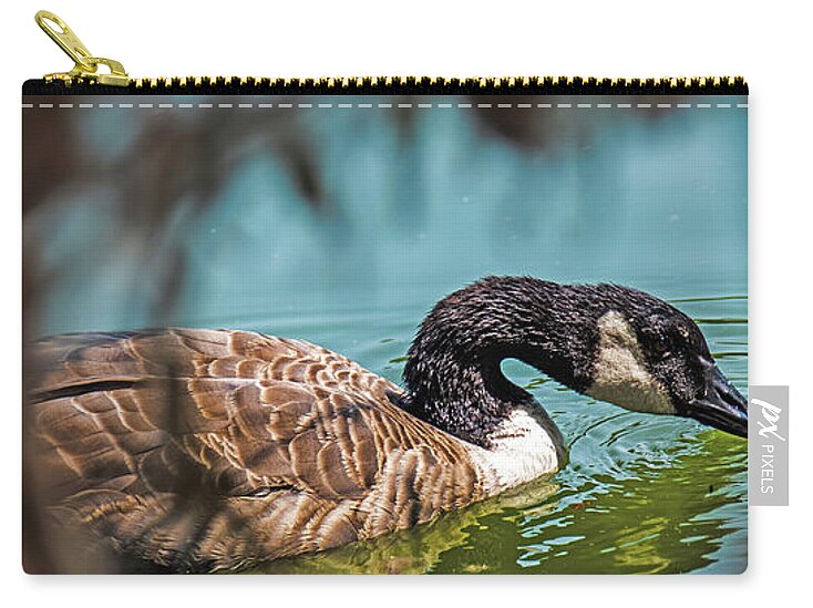 Goose Swimming in Tranquil Lake - Zip Pouch
