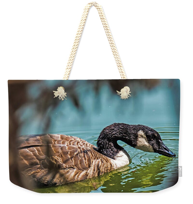 Goose Swimming in Tranquil Lake - Weekender Tote Bag