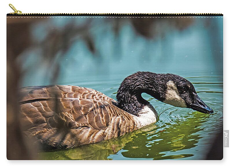 Goose Swimming in Tranquil Lake - Zip Pouch
