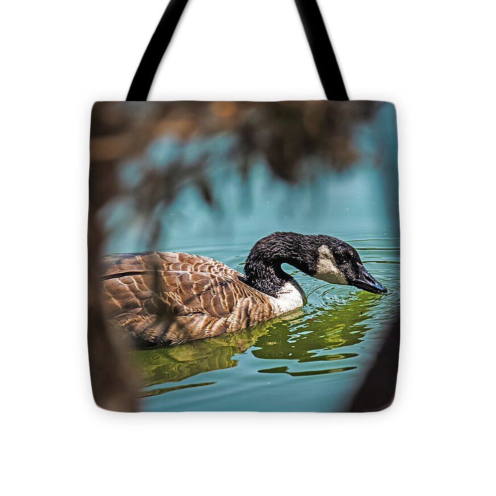 Goose Swimming in Tranquil Lake - Tote Bag