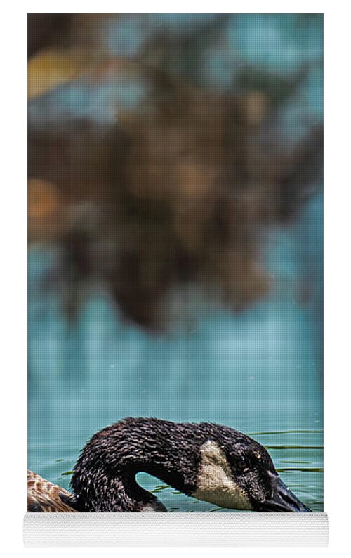 Goose Swimming in Tranquil Lake - Yoga Mat
