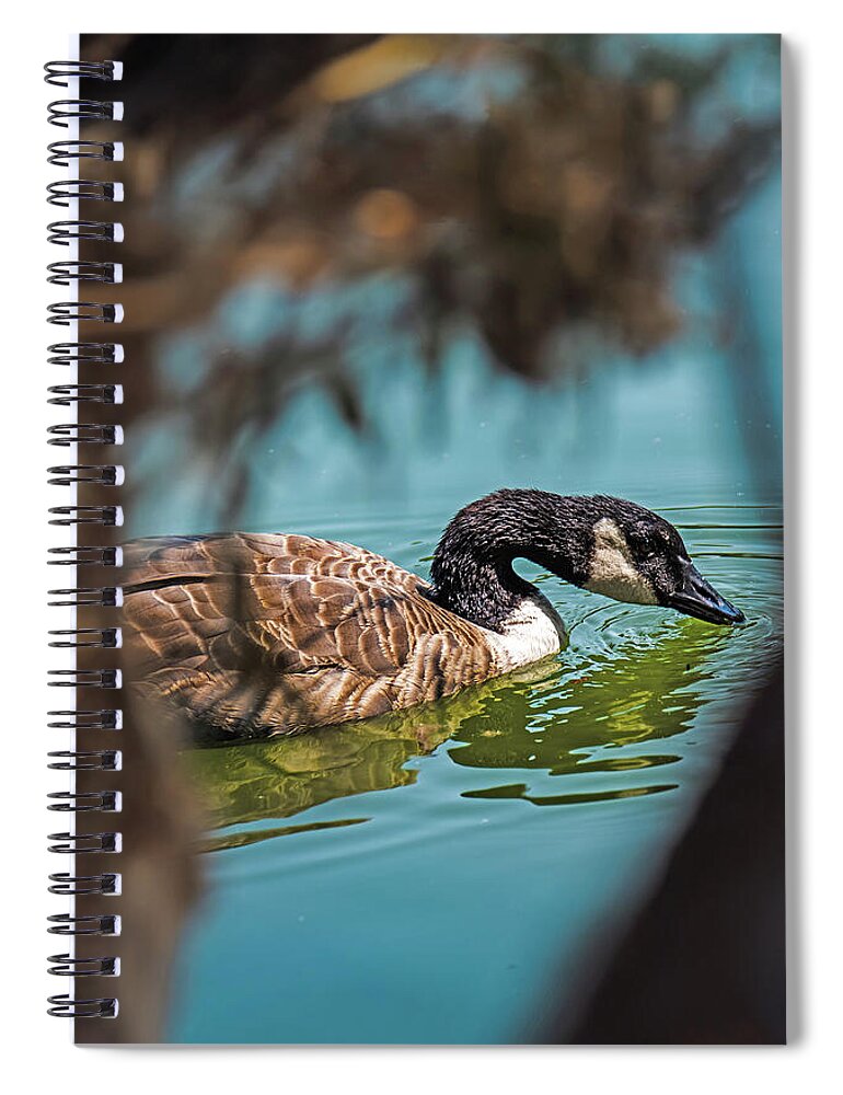 Goose Swimming in Tranquil Lake - Spiral Notebook