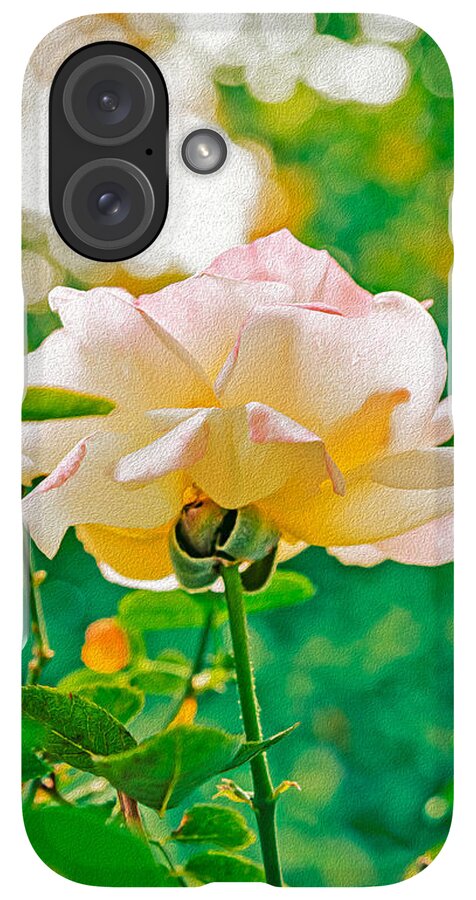 Gorgeous Bright Rose During Spring - Phone Case
