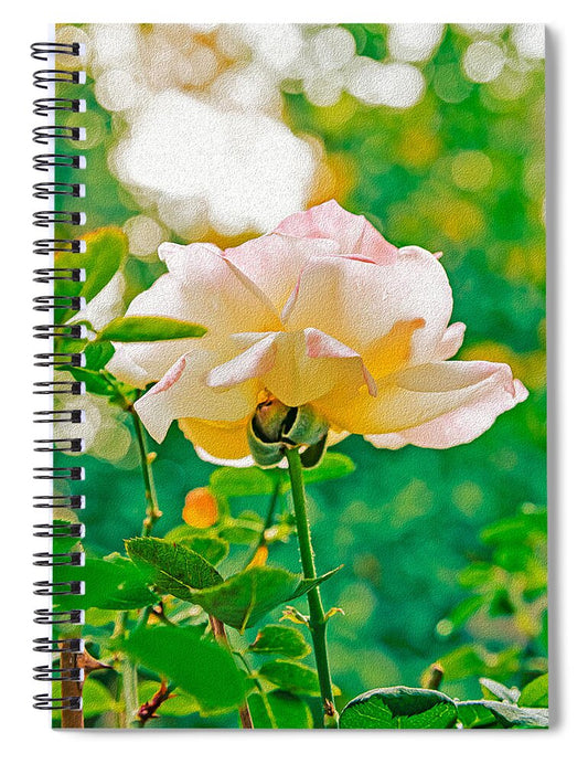 Gorgeous Bright Rose During Spring - Spiral Notebook