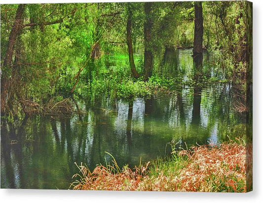 Green Reflections from a River  - Canvas Print